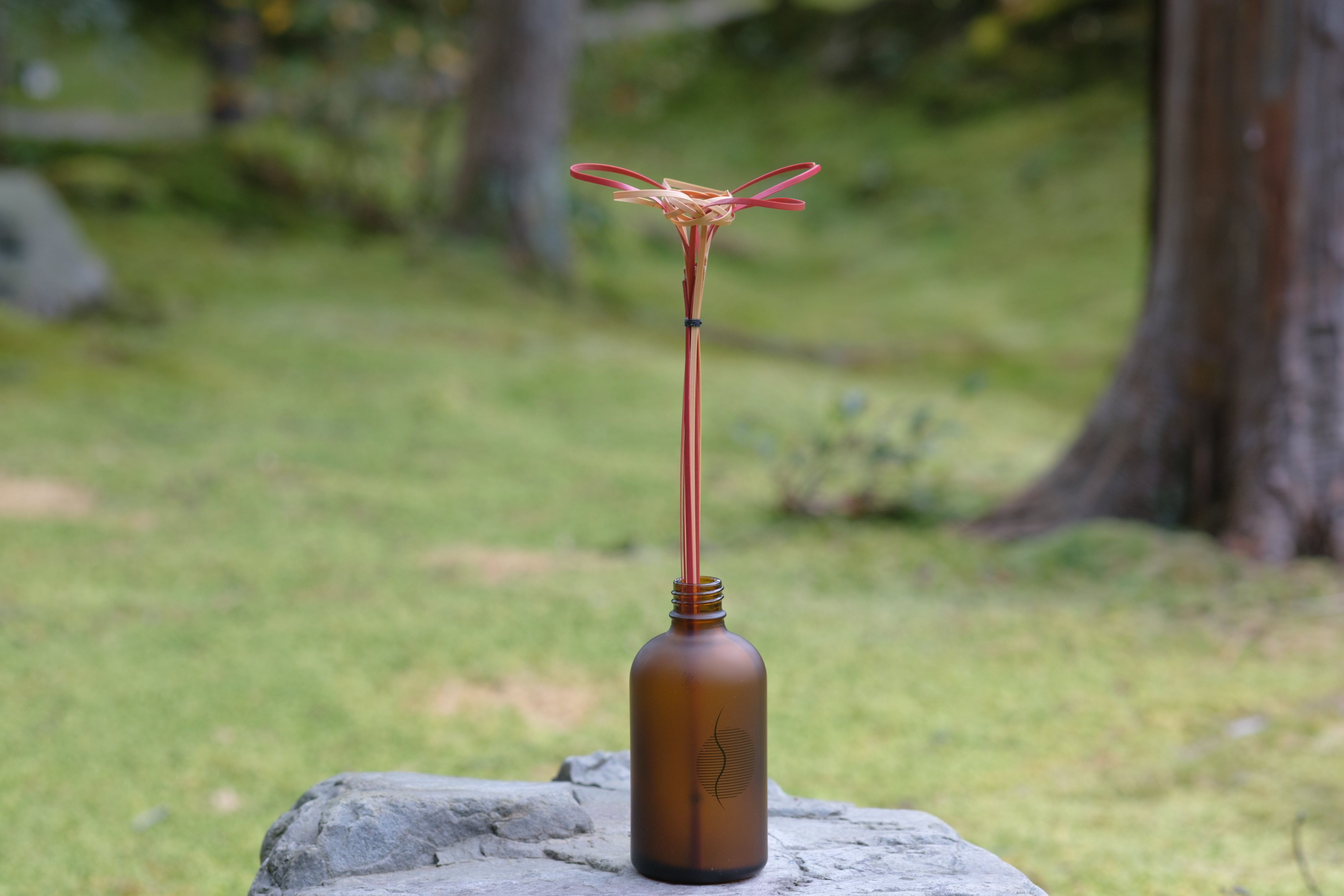 Temple's bamboo room diffuser