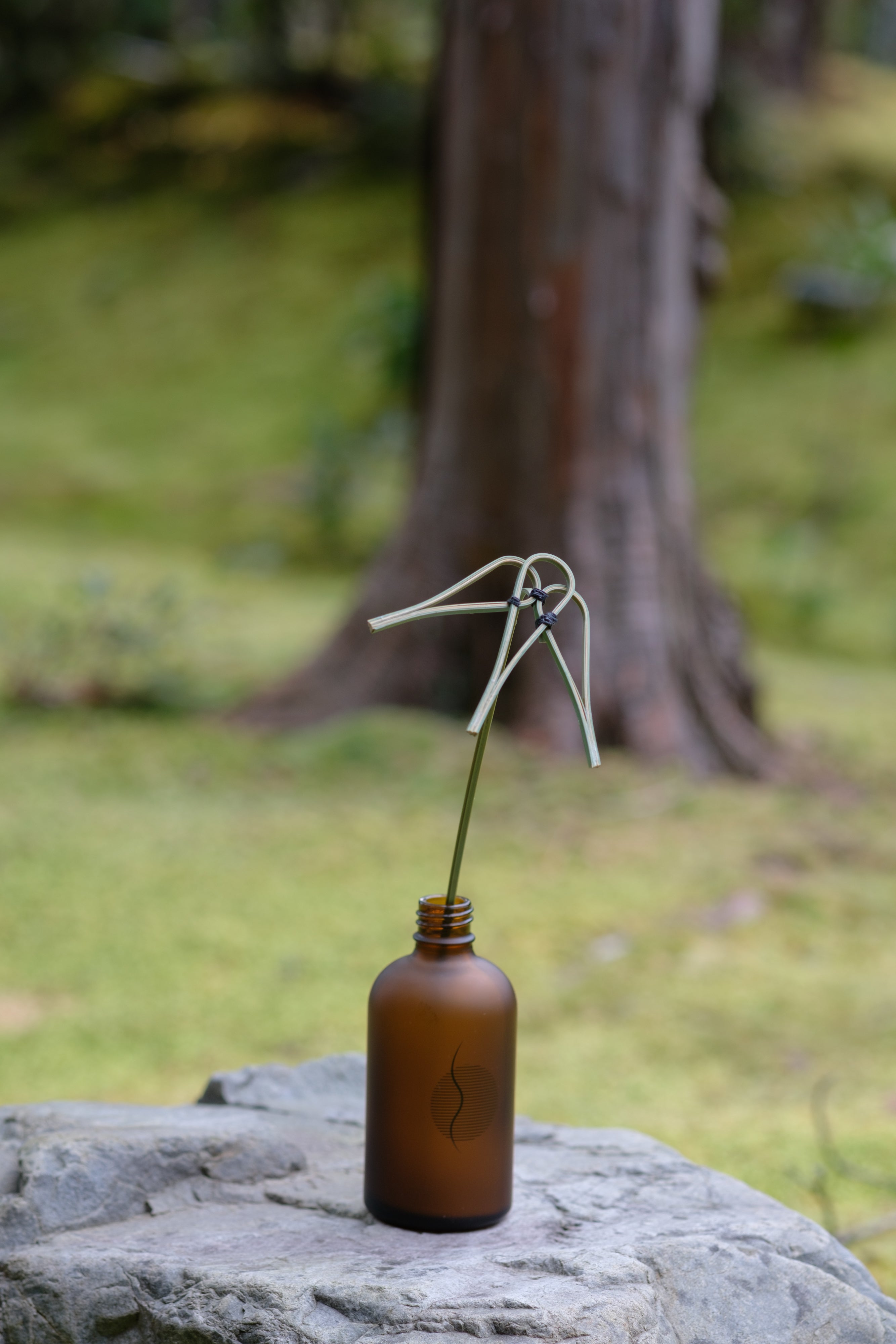 Temple's bamboo room diffuser
