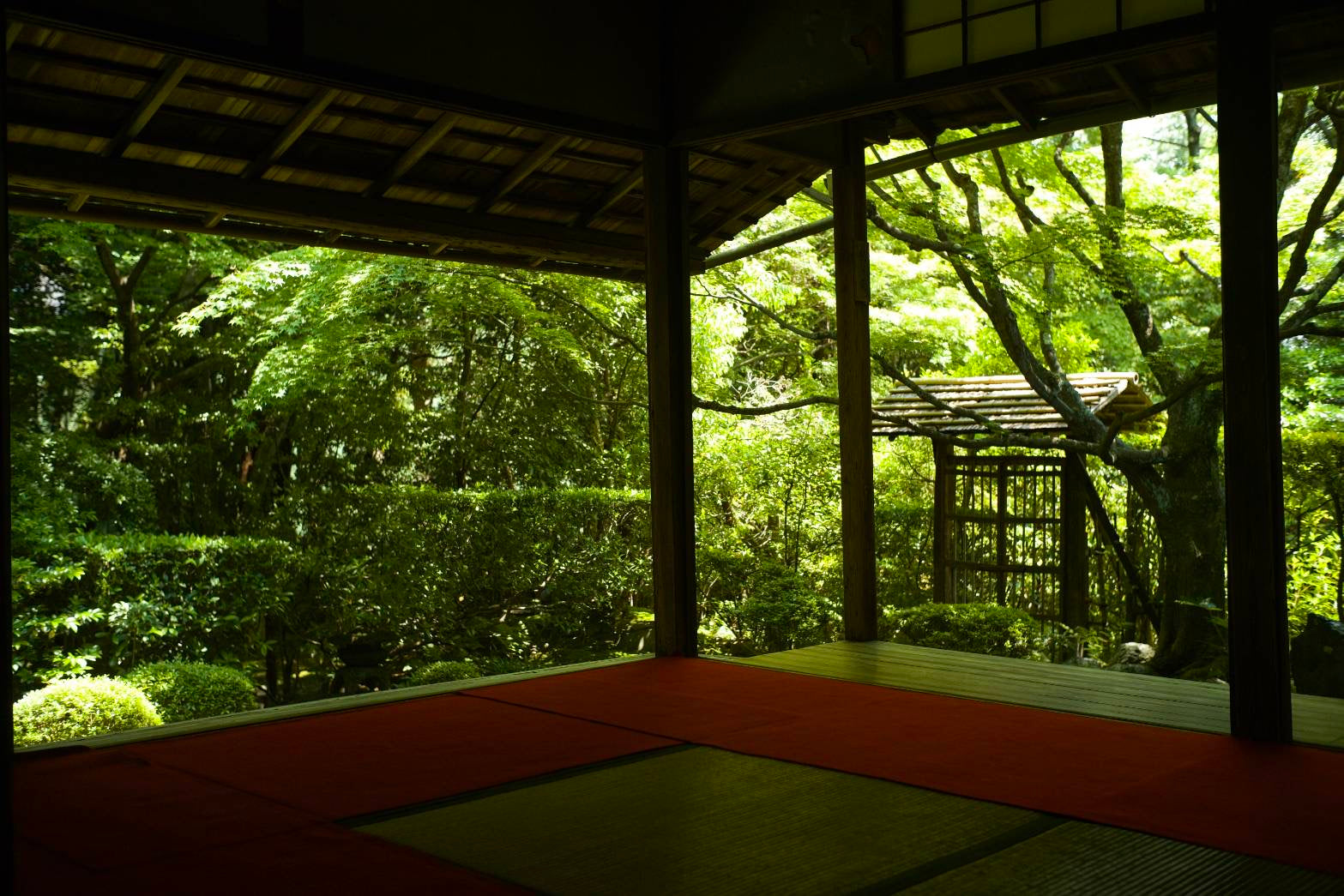 Keishunin