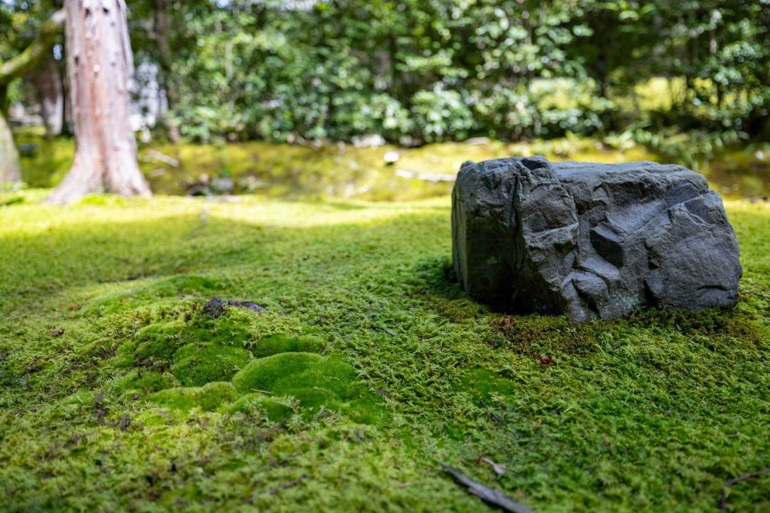 Keishunin
